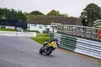 Advanced Group Yellow Bikes